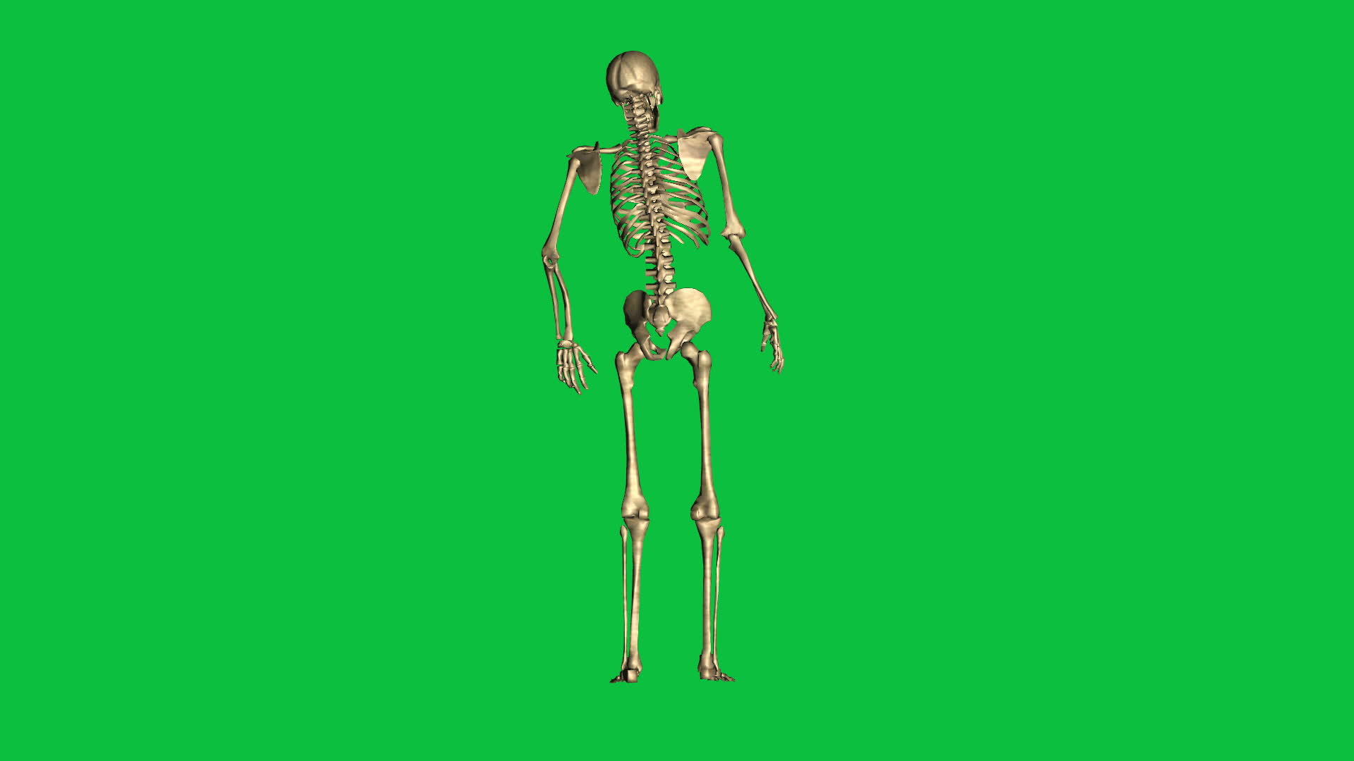3D骨骼坠落动画视频的预览图
