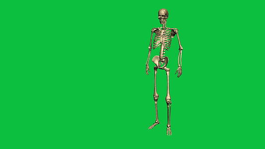 3D骨骼视频的预览图