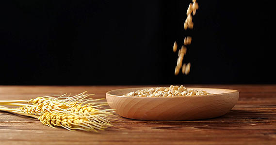 4K小麦合集视频的预览图