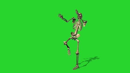 3D练习空手道动画的骨架视频的预览图
