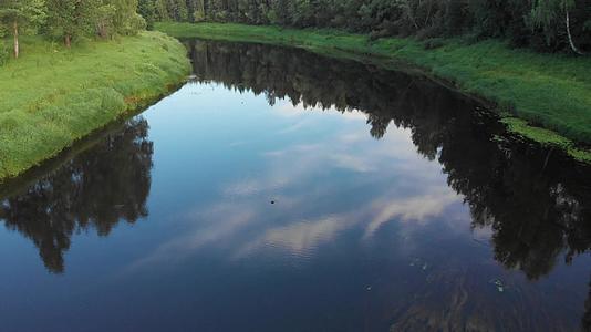 夏天水下草草空气的低角完美地反射在河里的蓝天和云中视频的预览图