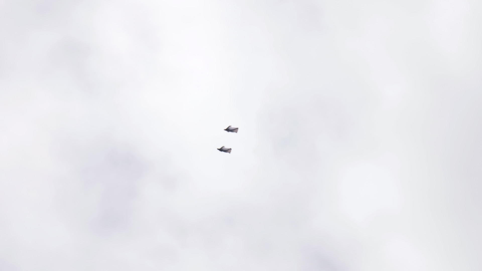天空中翅膀的跳天机视频的预览图