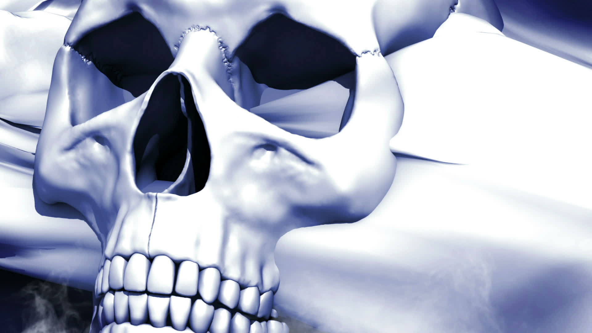 3d模型人头骨模型视频的预览图