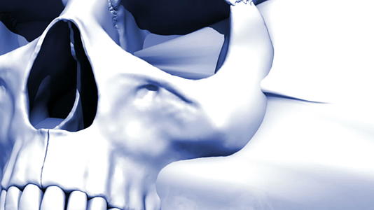人头骨模型视频的预览图