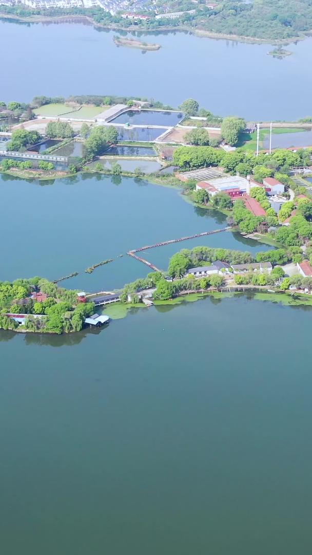 武汉东湖绿道和湖心岛航拍视频的预览图