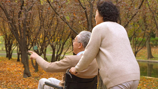 4k老年夫妇相伴逛公园背影视频的预览图
