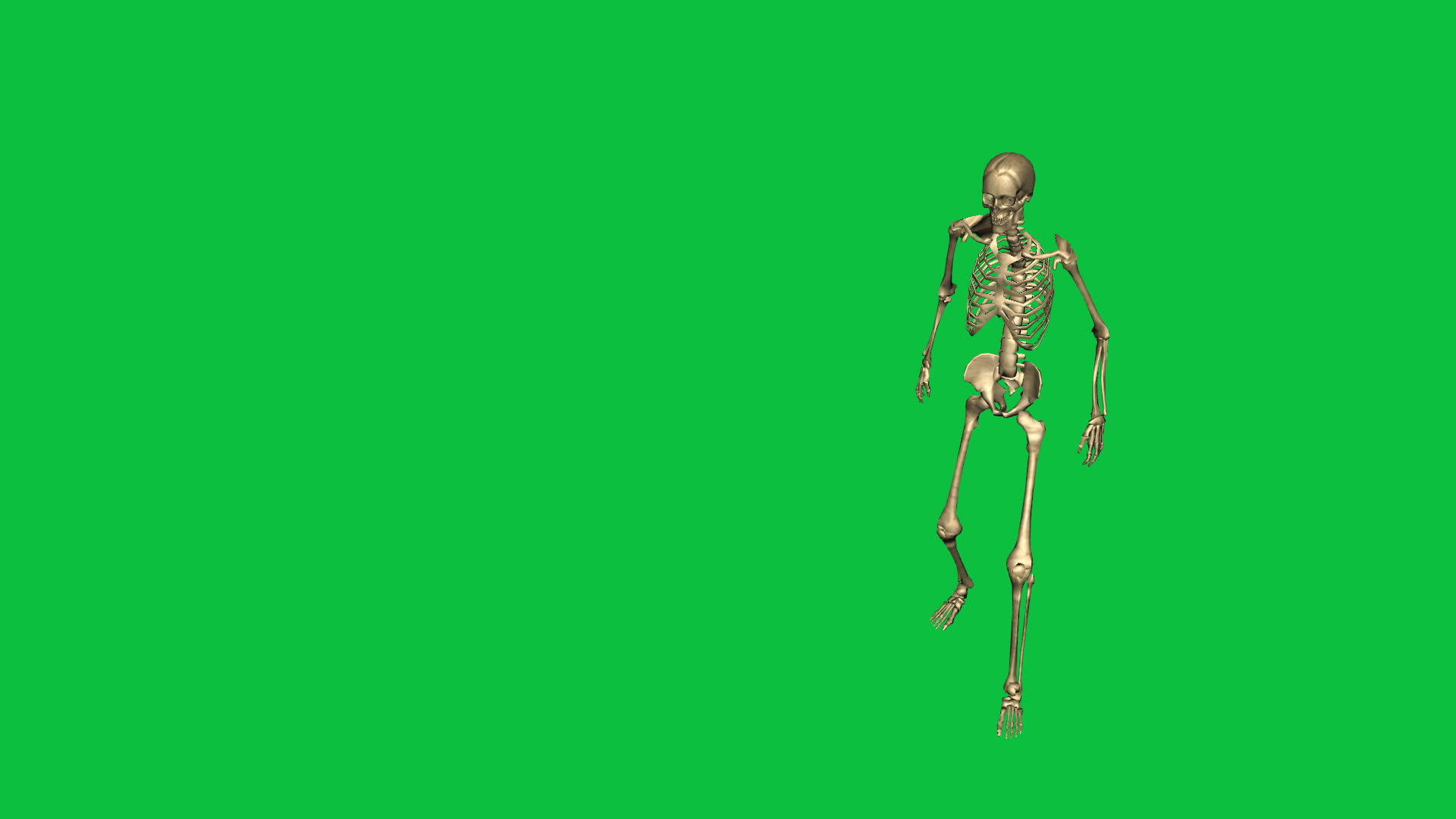3D骨架视频的预览图