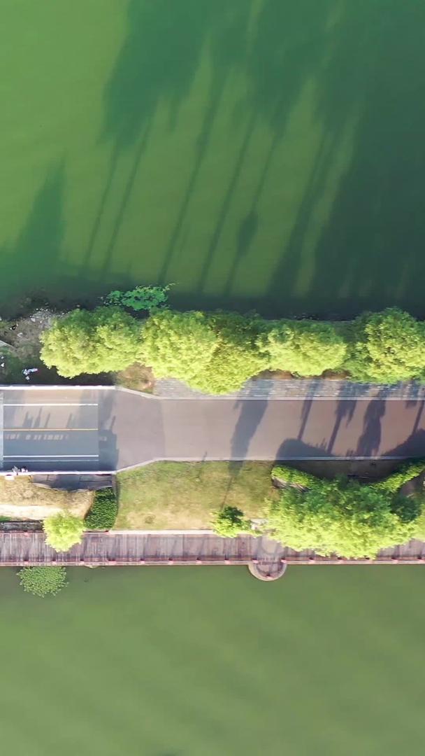 东湖绿道航拍高清视频视频的预览图