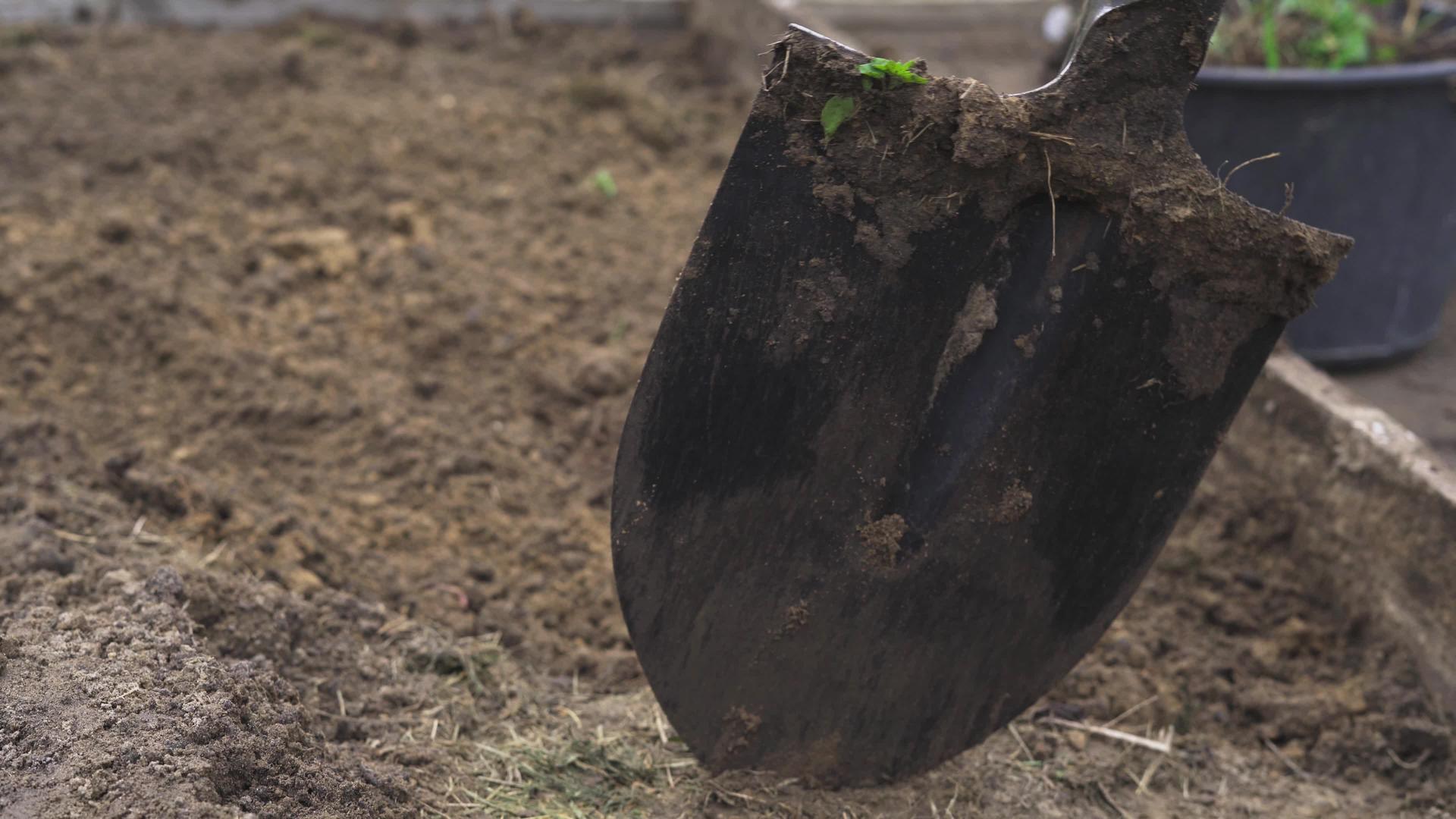 冬天之前用铲子在花园里种植土壤视频的预览图
