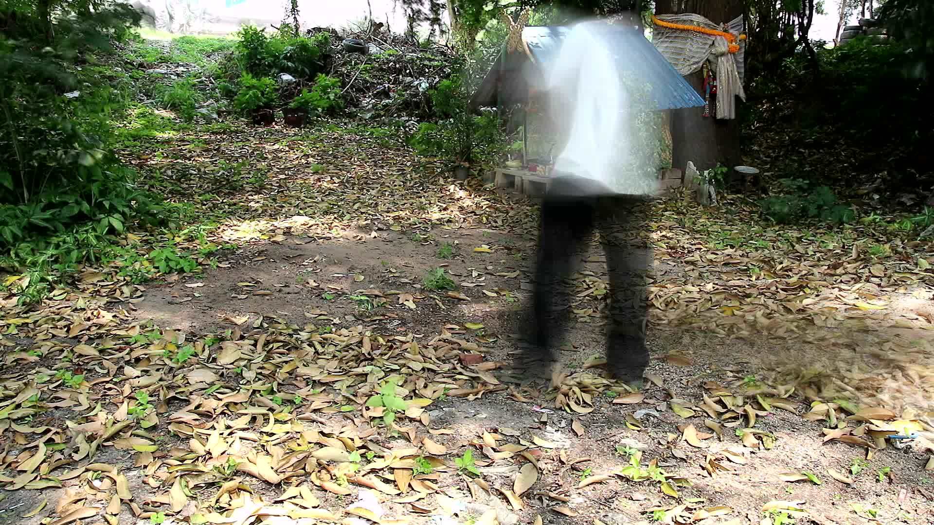 男人的超速扫树叶打扫房子的花园区视频的预览图