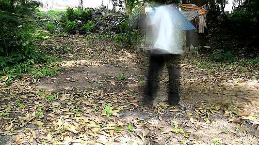 男人的超速扫树叶打扫房子的花园区视频的预览图