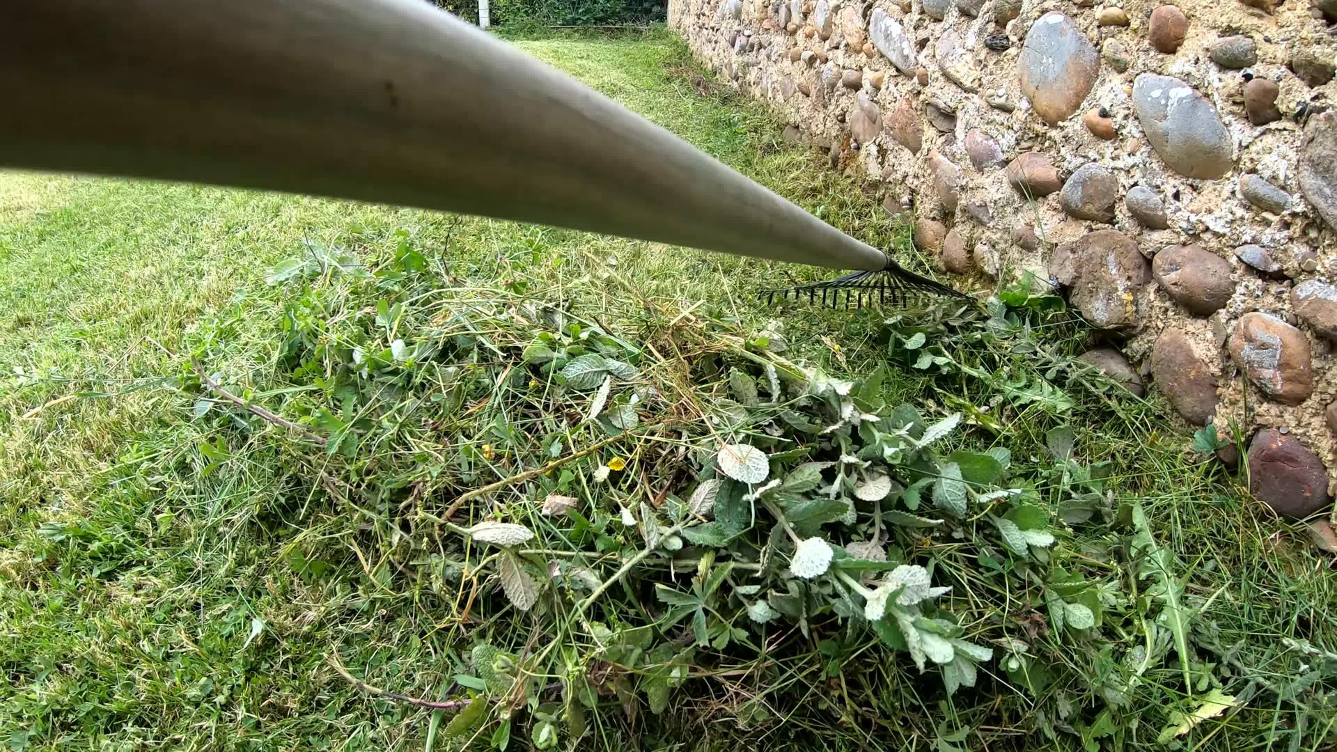 使用rake放牧草地的园艺理念视频的预览图