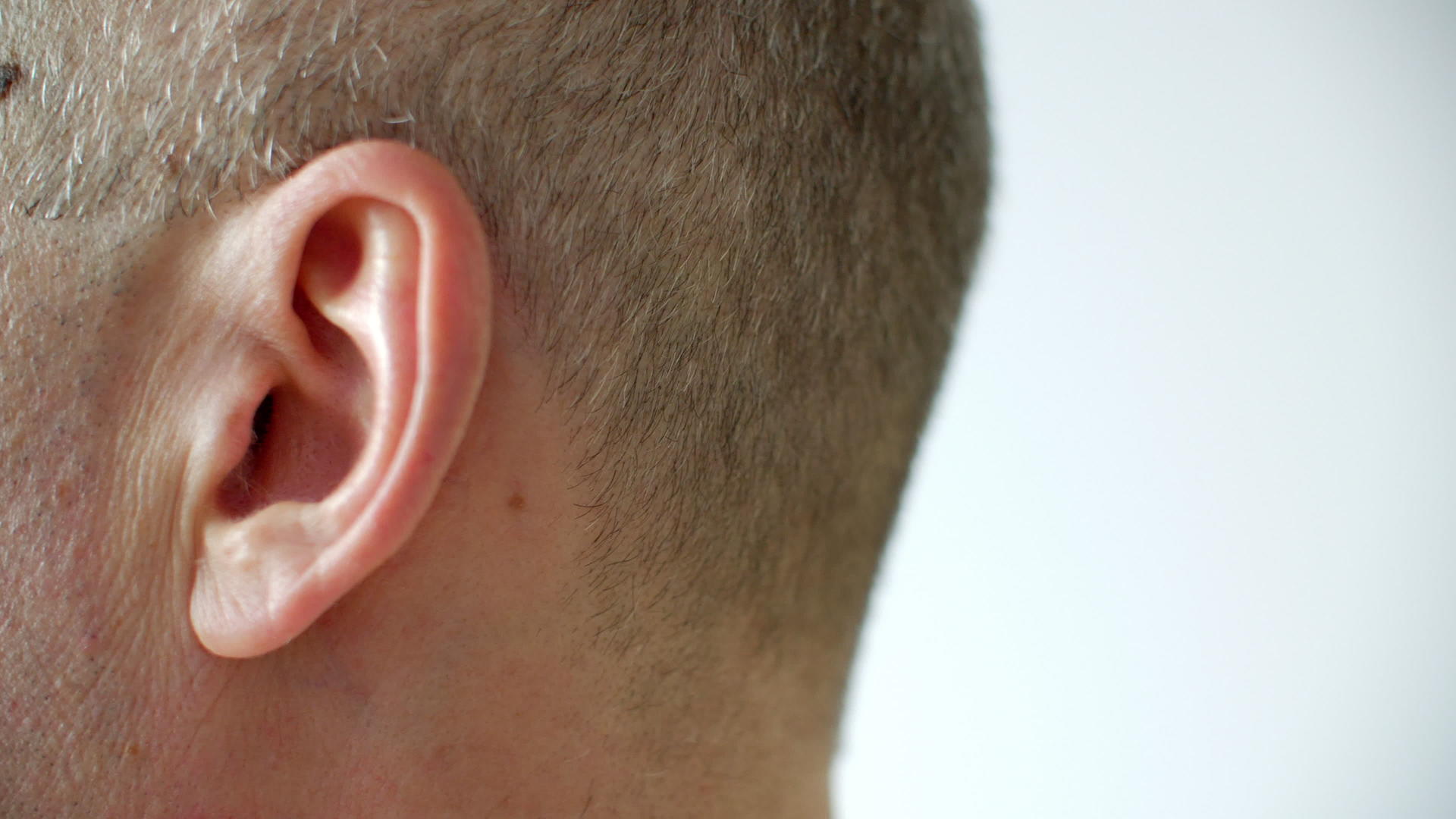 白毛人寺和左耳左侧人体听力器官解剖人体视频的预览图