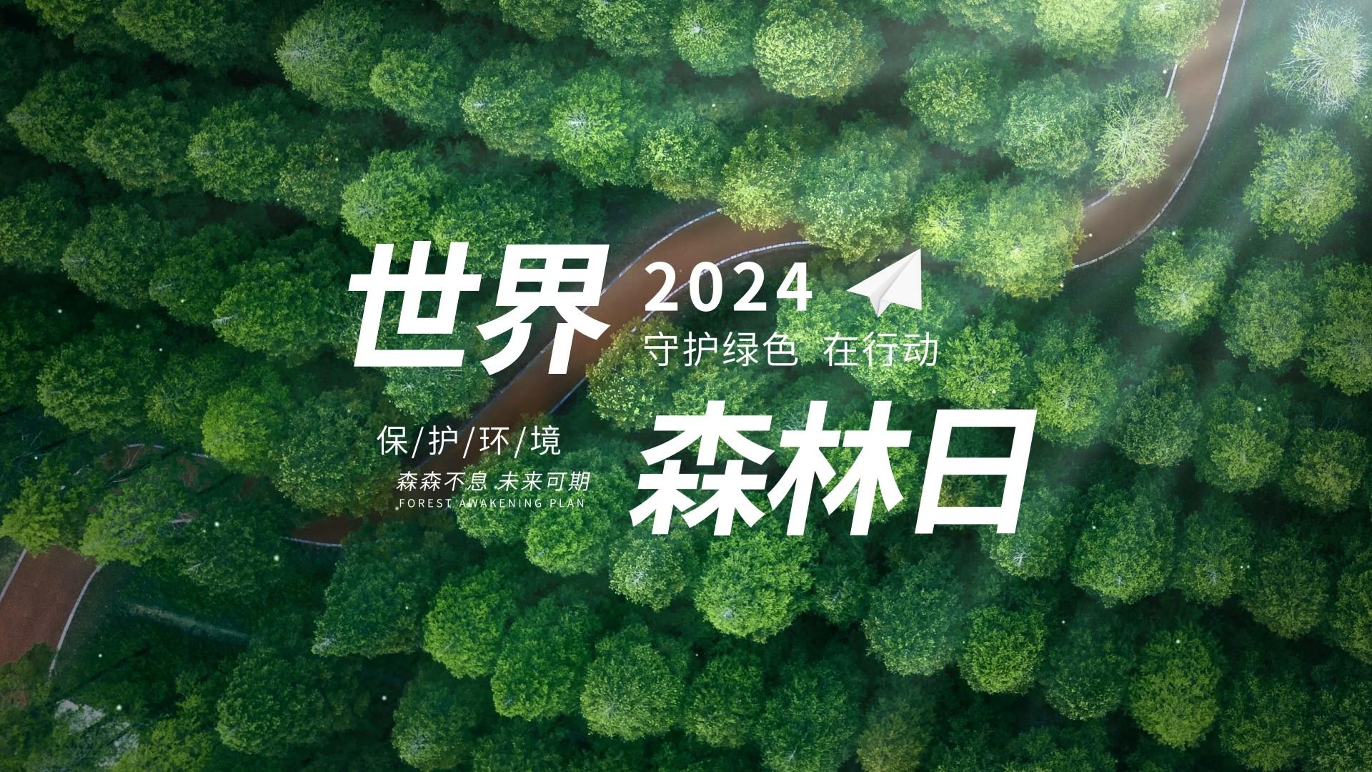 世界森林日文宣传片头AE模板视频的预览图