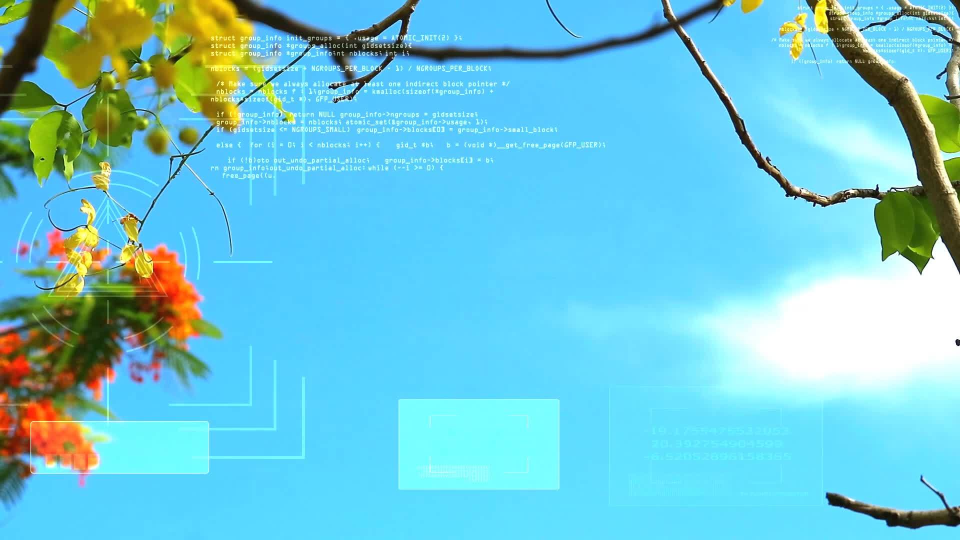决明子瘘盛开蓝色枝叶蓝天和数字分析AI背景视频的预览图