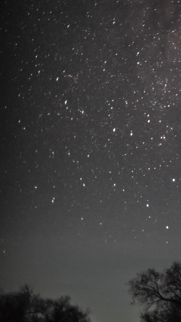胡杨星空银河延迟60fps视频的预览图