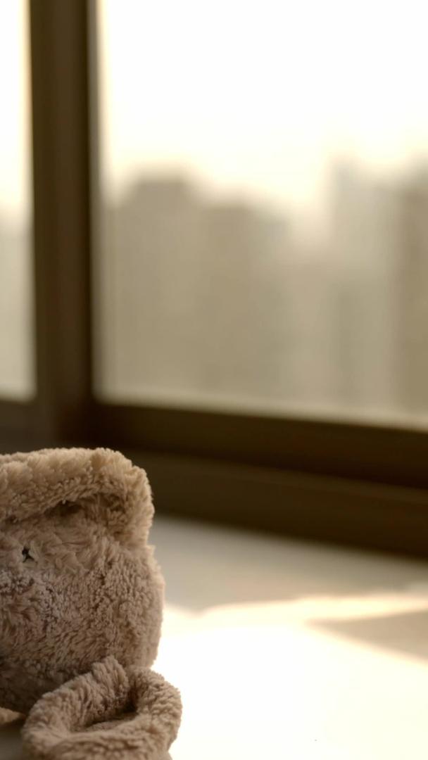 孤独的兔子玩偶在窗前视频的预览图