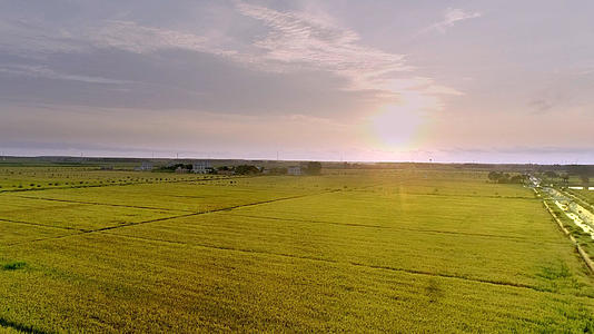 夕阳下的农田全景4k航拍视频的预览图