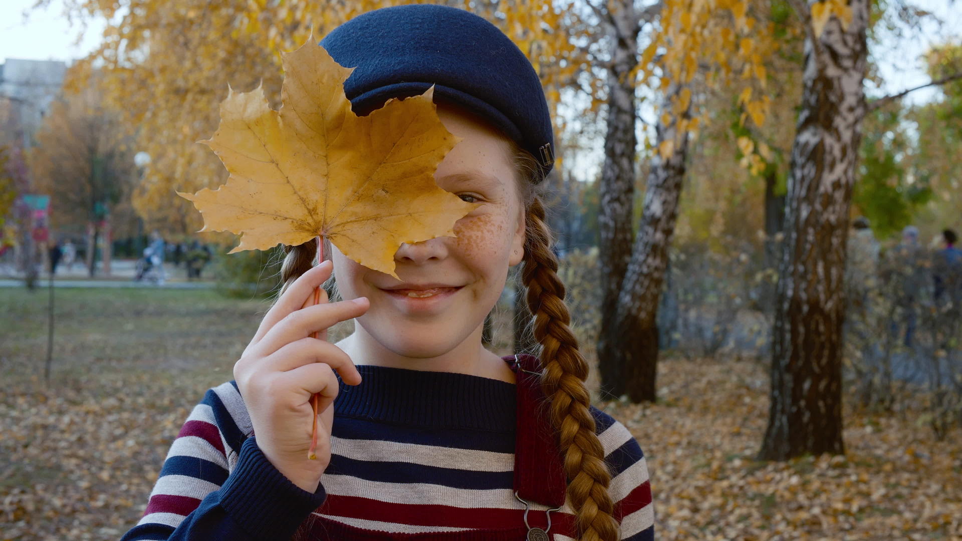 肖像女孩和黄色枫叶靠近她的脸秋天公园里有一个快乐的女孩视频的预览图