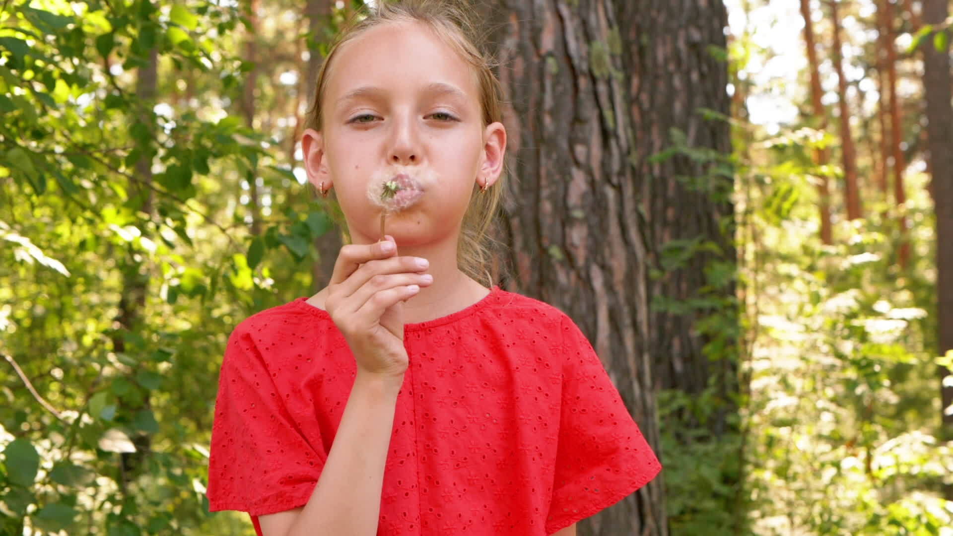 肖像女孩在夏天的绿色植物和树木上吹着白色的蒲公英视频的预览图