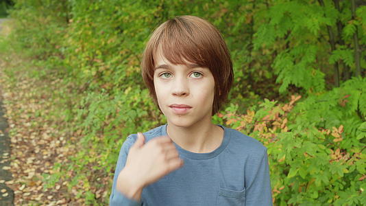 在夏令营里捉蚊子或苍蝇的年轻男孩在绿色公园里玩耍视频的预览图