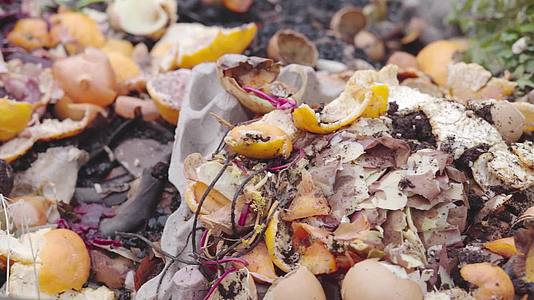 概述将食物废物回收到菜园肥料堆肥视频的预览图