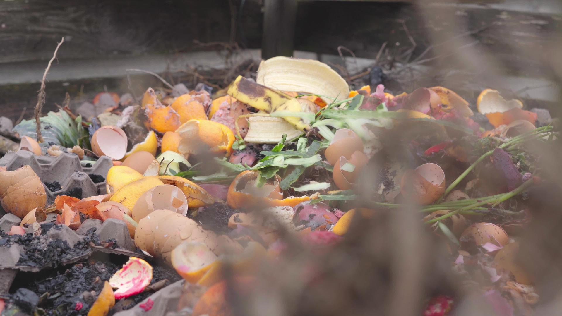 在私人地块堆肥堆积的堆肥中将食品废弃物按自制有机有机分类视频的预览图