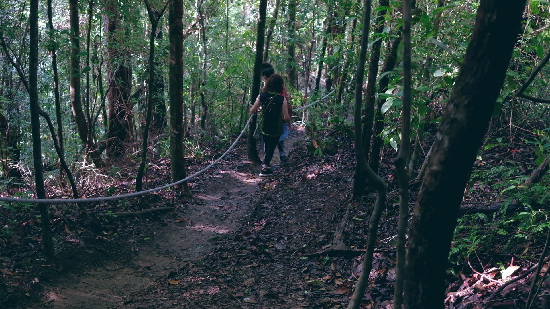 两个女孩背着背包在雨林丛林中徒步旅行从后视抓住人行道视频的预览图