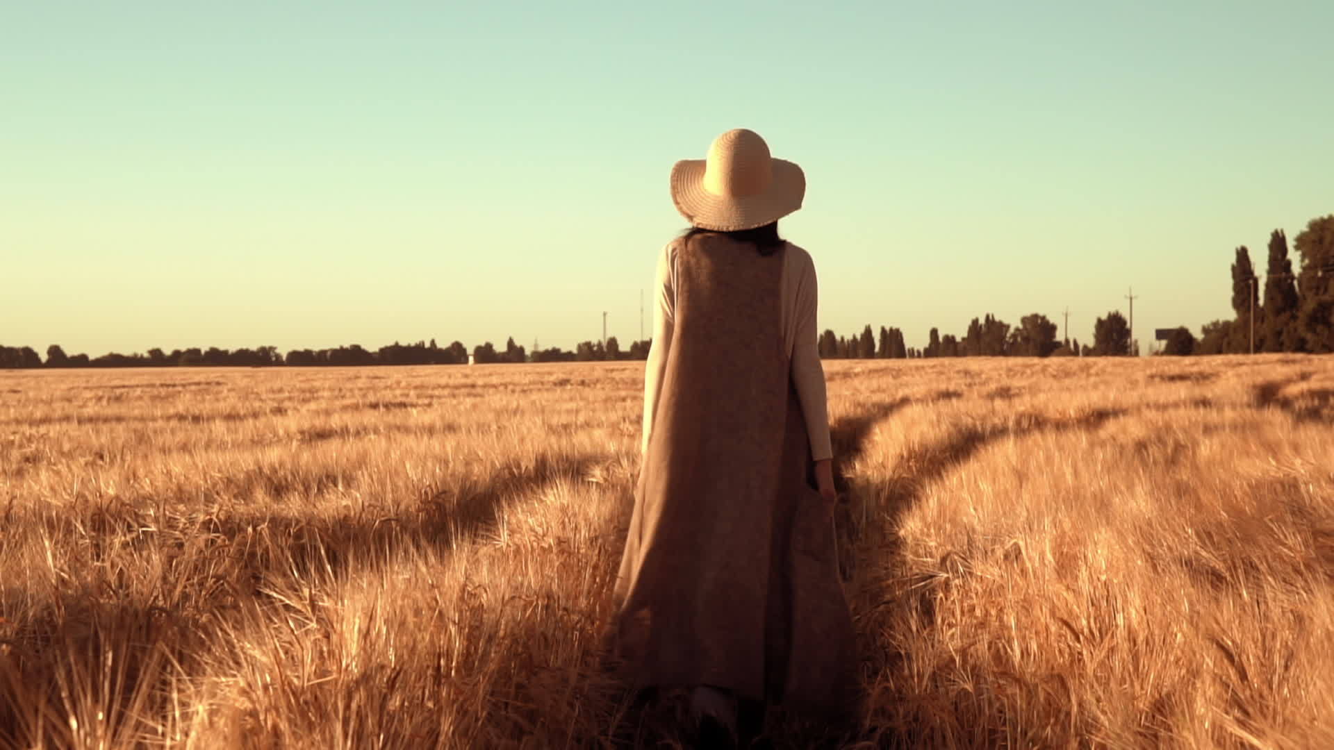 我看见那个女人戴着帽子在秋天的田野里露出小麦视频的预览图