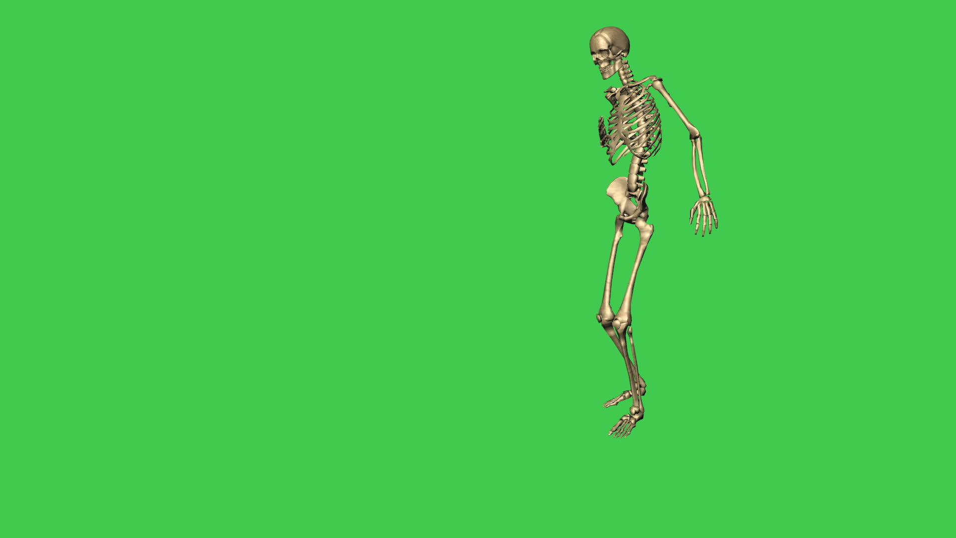 3D骨骼行走受伤动画视频的预览图