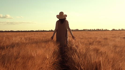 农村地区的田间小麦秋季农妇戴着草帽在田间漫步视频的预览图