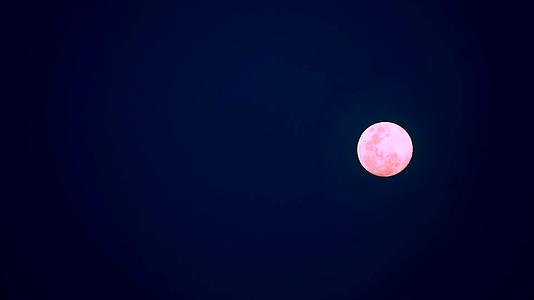 粉红色的月亮漂浮在夜空中视频的预览图