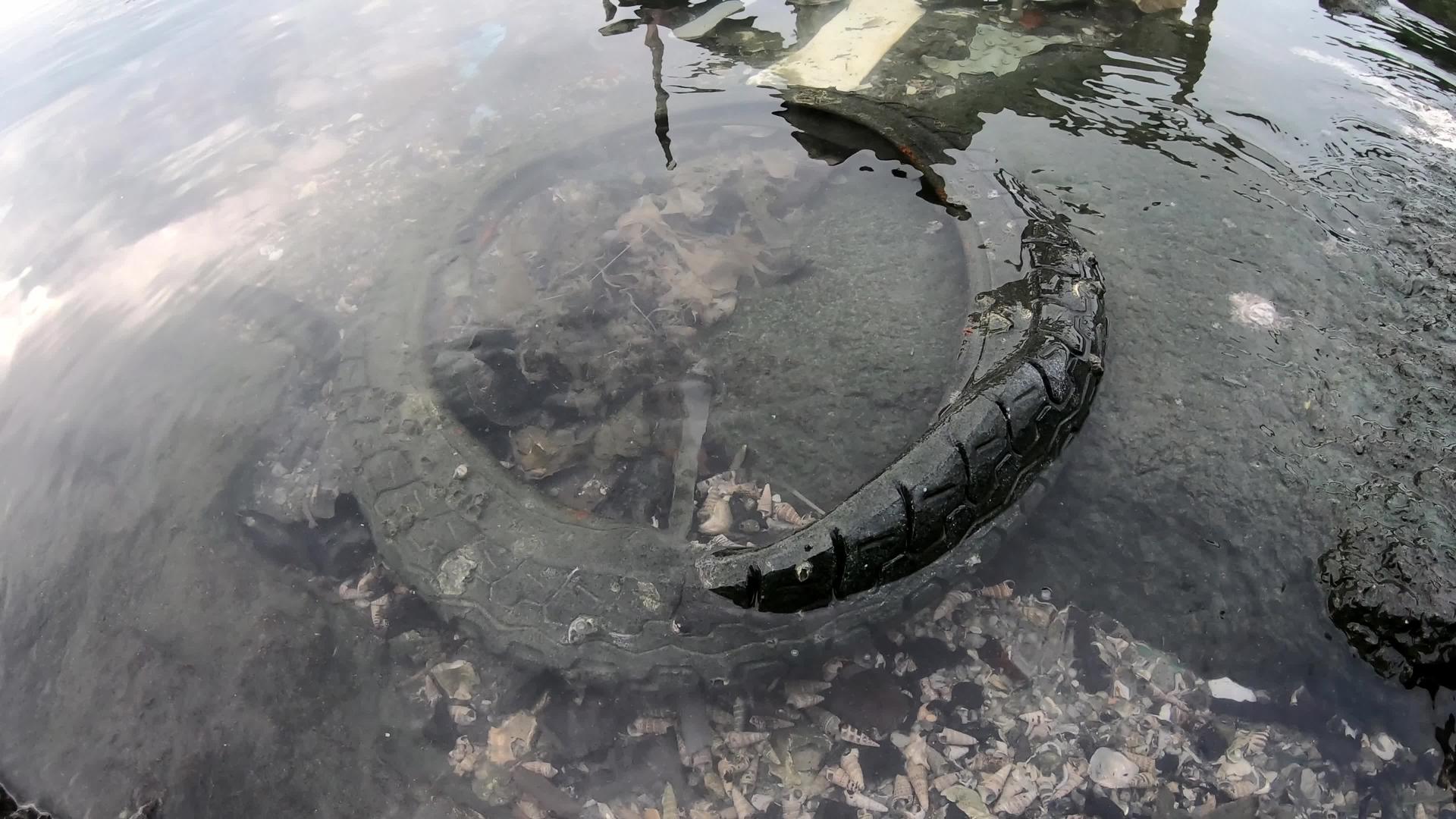 海水中的旧轮胎视频的预览图