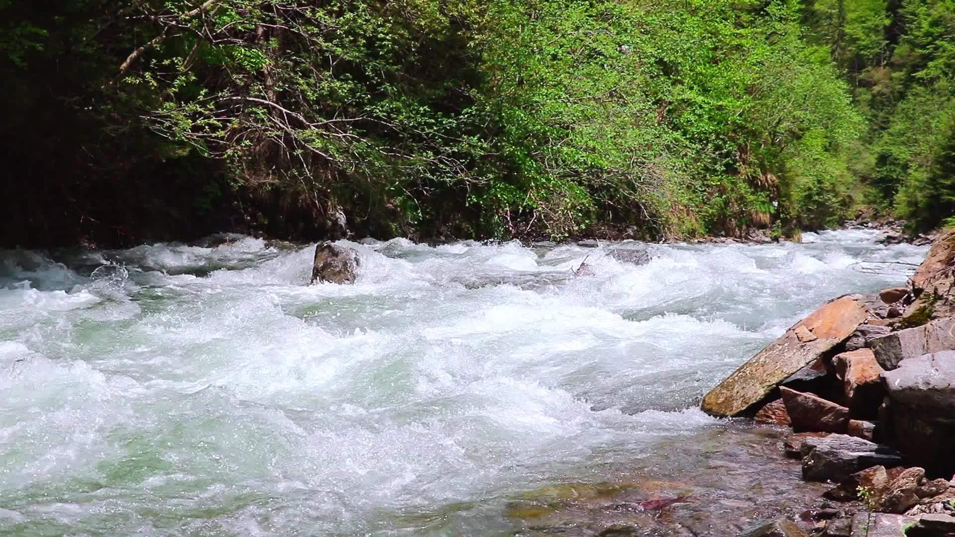 山上的快河沿着树木流淌着寒冷的河流视频的预览图