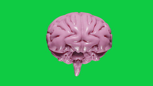 3D让真实的大脑和浅粉色在绿色屏幕上无缝旋转视频的预览图