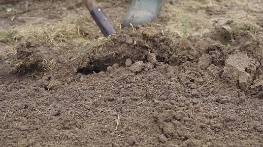 用铲子挖床土然后在冬天慢慢移动之前用铲子挖床土视频的预览图