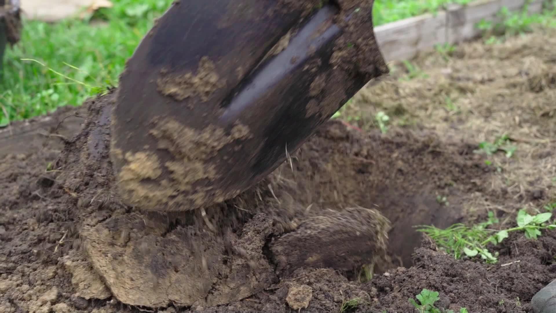 用铲子挖床土然后在冬天慢慢移动之前用铲子挖床土视频的预览图