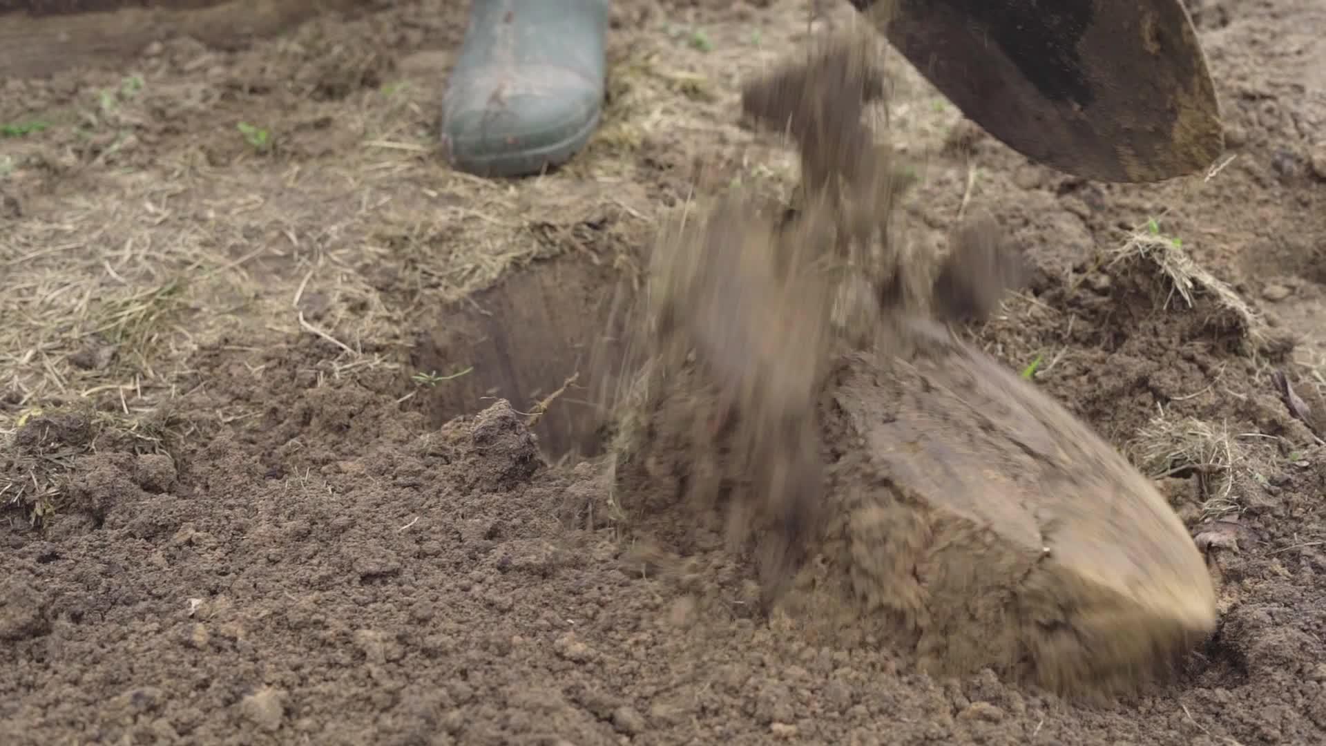 冬天过后在花园床上挖土以便在种植前扩大土壤视频的预览图