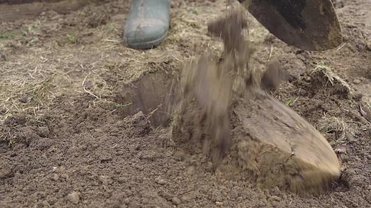冬天过后 在花园床上挖土 以便在种植前扩大土壤视频的预览图