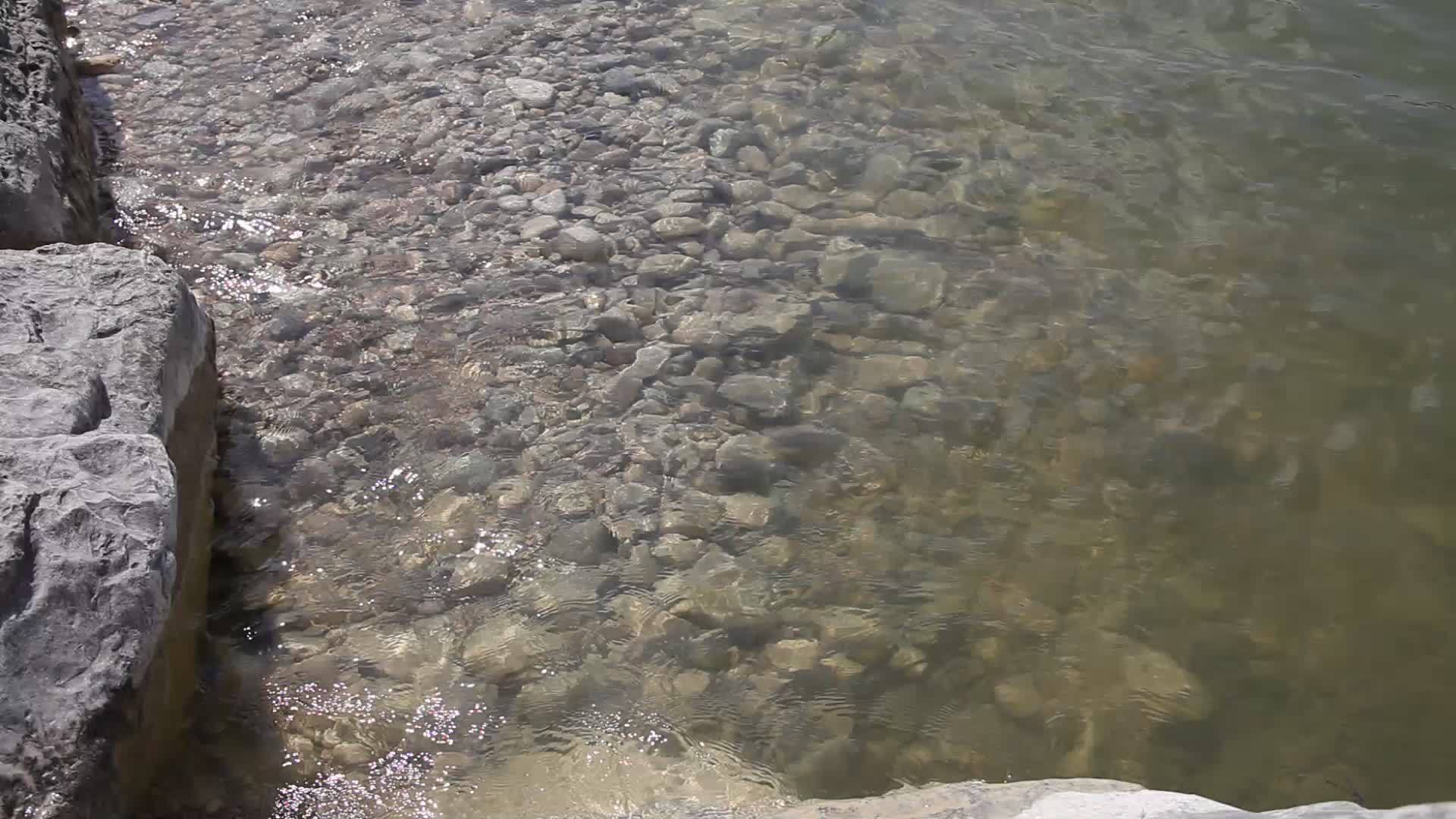 河的清水视频的预览图