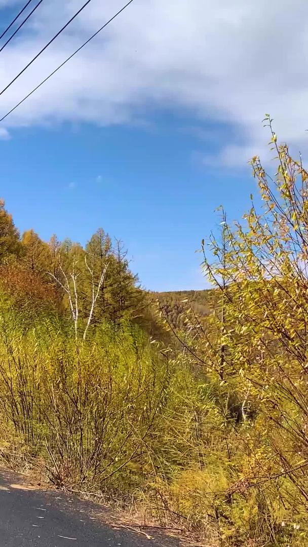 首次驾驶视角秋季内蒙古大兴安岭阿尔山国家森林公园视频视频的预览图