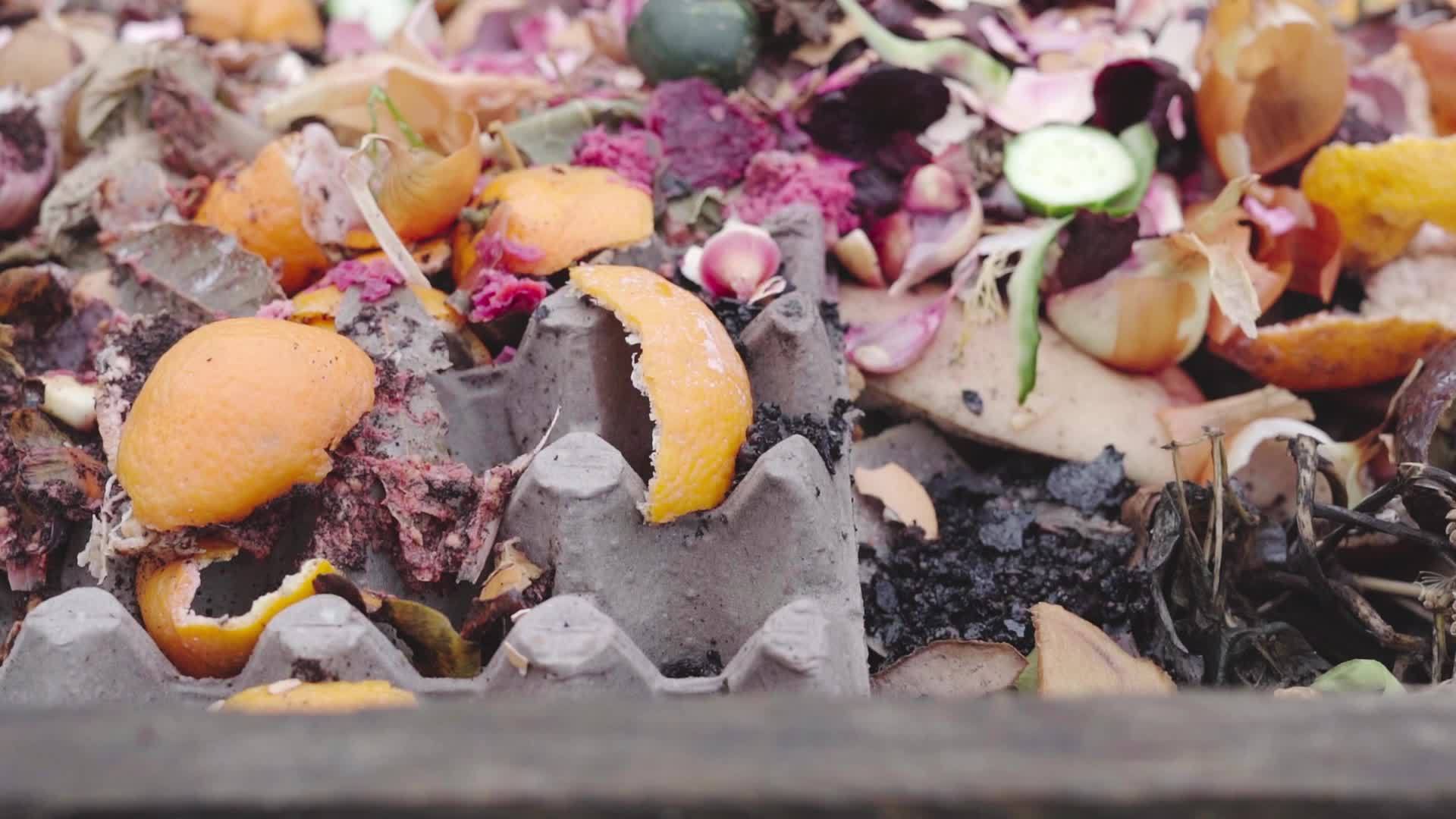 有机胡马沙堆中的家庭食物垃圾视频的预览图