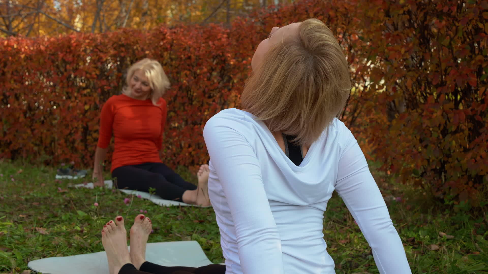 运动女性在秋季公园的地毯上训练伸展运动瑜伽女性视频的预览图