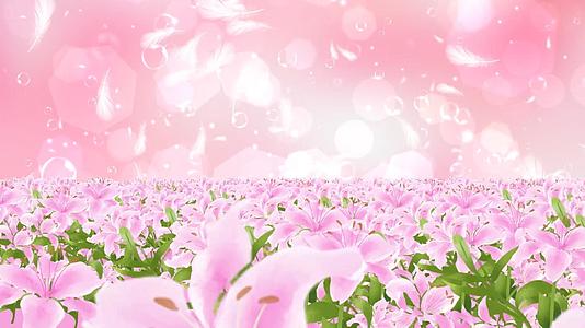 唯美温馨粉色花海背景动态粒子光晕羽毛上升视频视频的预览图