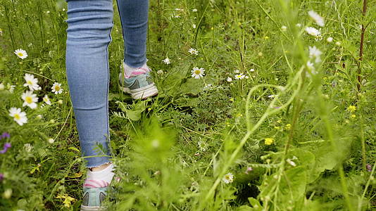青春的双腿穿过绿草和草地上的花朵视频的预览图