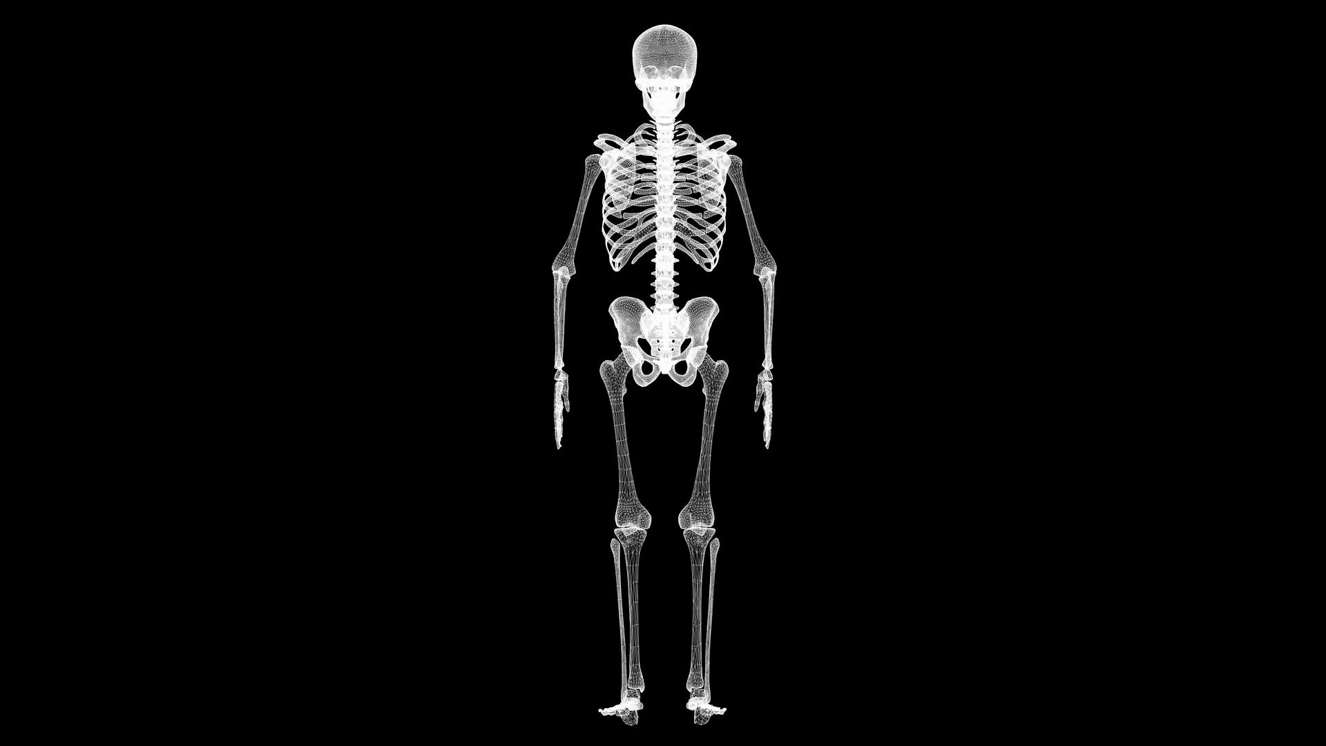 三维人体骨骼4k视频的预览图