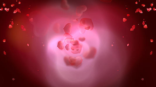 520红心玫瑰花瓣爱情表白背景视频的预览图