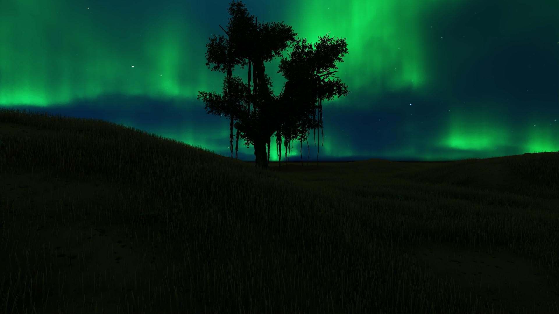 单树绿地背景有北光天空视频的预览图