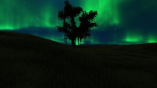 单树绿地背景有北光天空视频的预览图