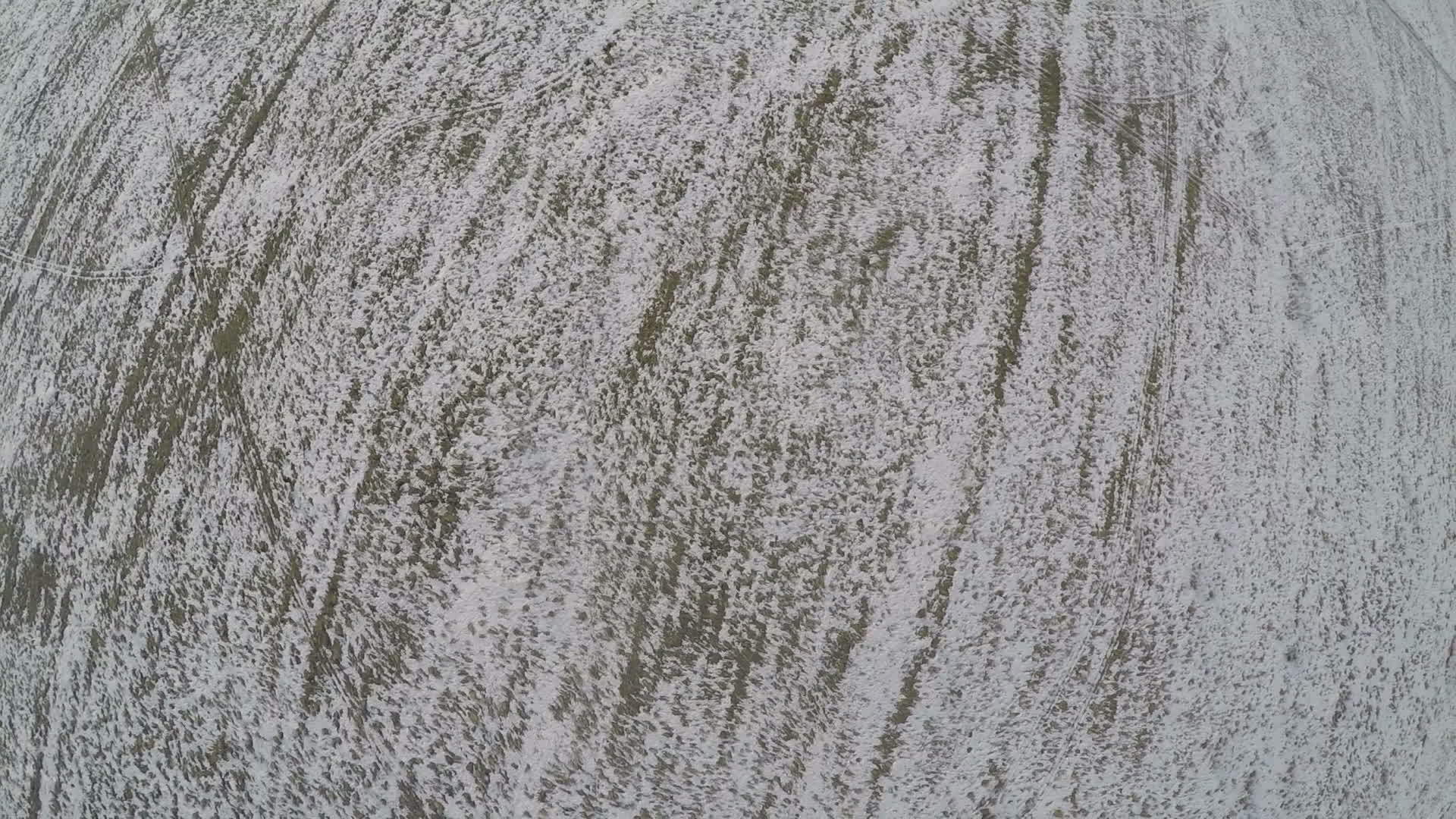 在农村的雪田上飞翔视频的预览图